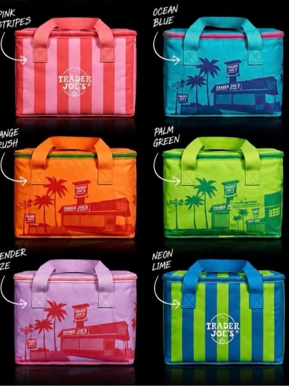 ALL SIX Trader Joe’s Mini Insulated Bags